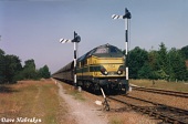 Een echt zomersfeertje heerste op 29 juni 1992 toen de 5164 aan de uitrijseinen kant Weert wachtte totdat de Belgische rangeerder de wissels goed had gelegd. Wie was uw webmaster om over dit motief te klagen?